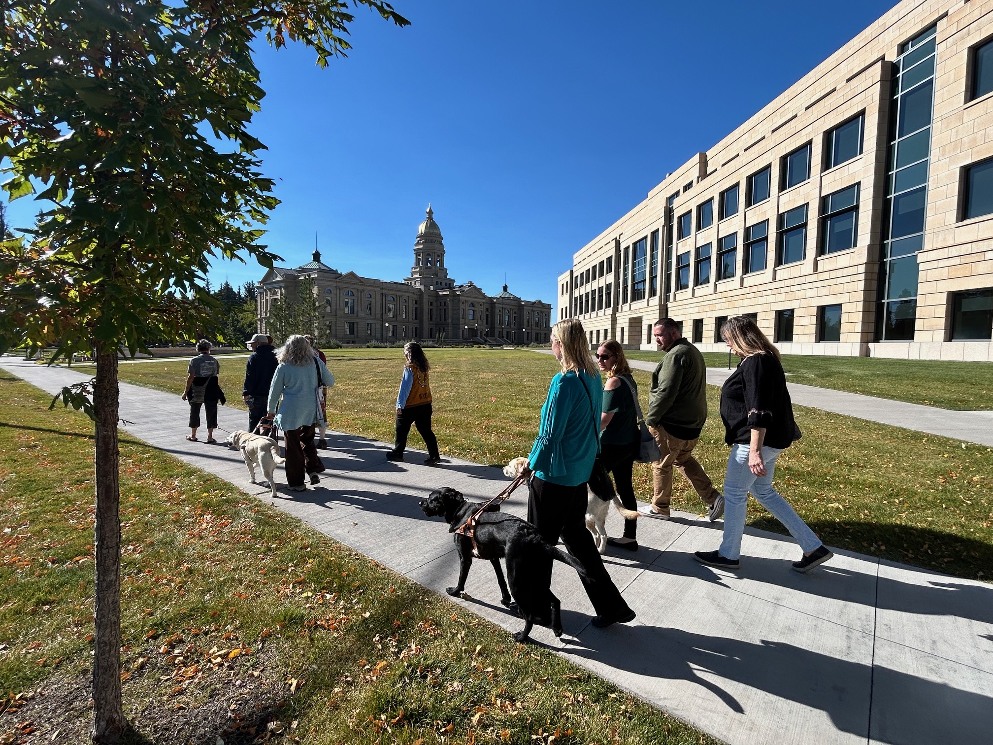 group walking with capitol in the background