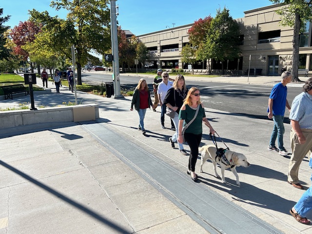 group walking on a sidewalk with canes and guide dogs